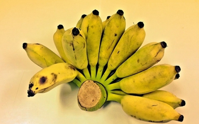 เคล็ดลับกินกล้วยน้ำว้า คุณประโยชน์ป้องกันโรค 15 ชนิด